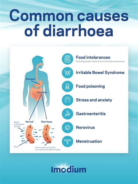 What Causes Viral Diarrhea